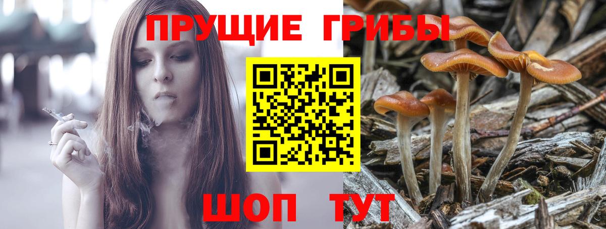 Галлюциногенные грибы MAGIC MUSHROOMS Орск